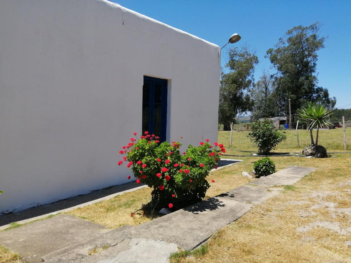 La Chacra Guest House Minas Ngoại thất bức ảnh